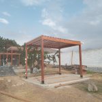 WhatsApp Image 2025-11-13 at 02.31.01